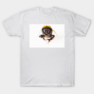 Bumble Bee T-Shirt